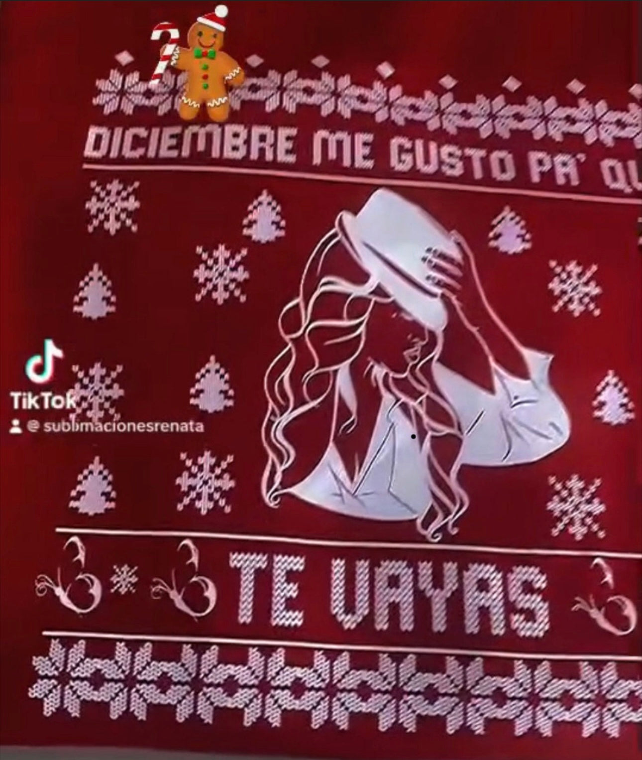 Diciembre me gustó pa que te vayas j rivera sweater